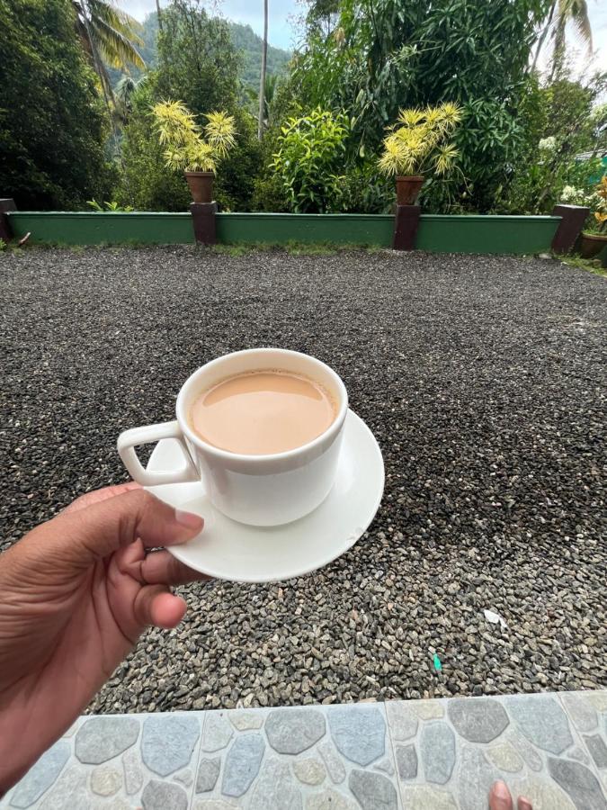 Fab Valley Homestay Munnar Bagian luar foto